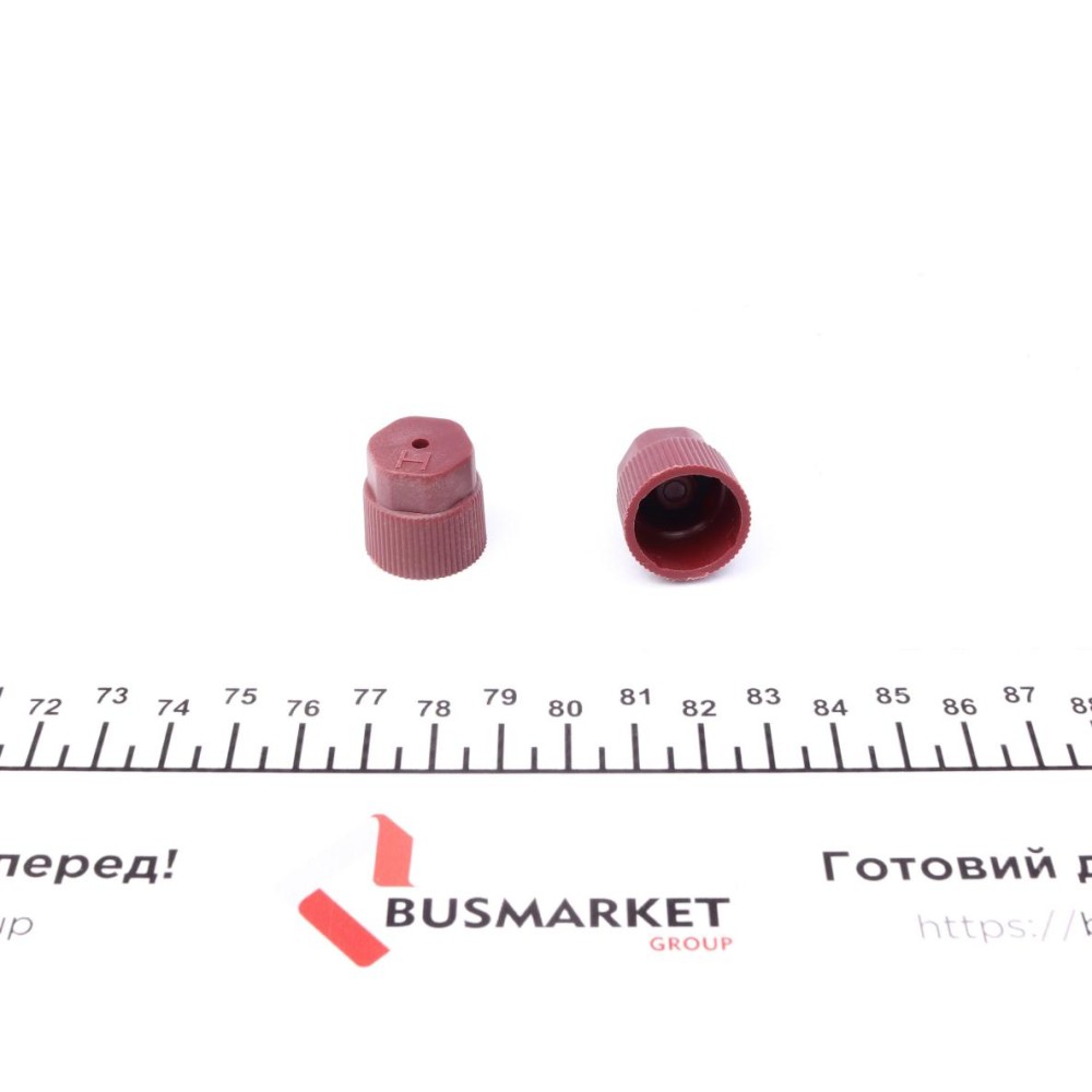 Сервісний Ковпачок заправочних портів (ВД) (2 шт.)