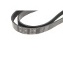 Ремінь генератора VW Golf/BMW/Ford/Opel (6PK1540)