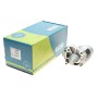 Стартер Renault Clio/Kangoo/Megane/Scenic/Dacia Dokker/Duster 1.4-1.6 97- (1kw) (z=8/9) = 112218