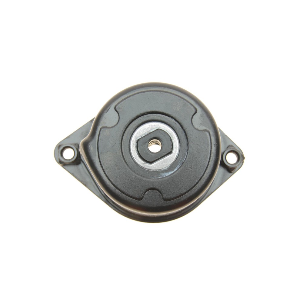 Натяжник ременя генератора BMW 3 (E46) 3.0D 99-, M57 D25/D30