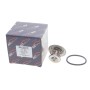 Термостат Opel Ascona/Astra/Kadett/Vectra 1.6D-1.8i 84-00 (92°C)