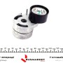 Натяжник ременя генератора Ford Fiesta/Fusion 1.4 TDCi 01-12