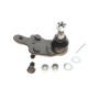 Опора кульова (передня/знизу/R) Toyota Camry 2.4-3.5 06-