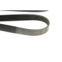 Ремінь генератора Renault Megane/Laguna/Scenic 2.0 dCi 07-/Peugeot 508 2.0HDI 18- (7PK1705)