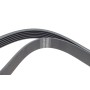Ремінь генератора Renault Megane I/Ford Transit 2.0 94-00 (6PK1650)