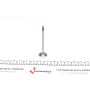 Клапан (випуск) Skoda Fabia/VW Caddy/Polo/Seat Arosa/Ibiza 1.2-1.4 (28x6x99.2) (азотування)