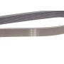 Ремінь генератора Citroen Berlingo/Peugeot Partner 1.6HDi 09- (6PK1020)(замінено 1020 К 6)
