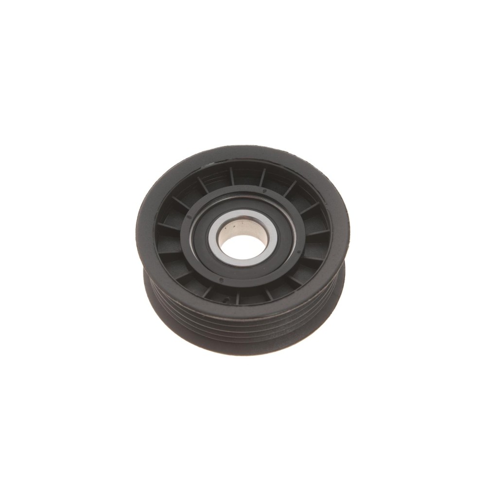 Ролик генератора Ford Transit Connect 1.8 16V 02-13 (паразитний)
