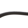 Комплект ременя генератора VW T5 1.9 TDI 03-09 (6DPK1195)