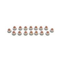 Сальник клапана (впуск/випуск) BMW 3 (F30/G20/G80)/5 (F10/G30/G90)/7 (G11) 10- M47/M67 (к-кт 16шт)