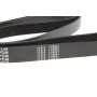 Ремінь генератора VW LT 2.5TDI 96-01/Peugeot Expert 1.9D/2.0HDI 98- (6PK1750)