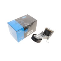 Натяжник ременя генератора Skoda Octavia/VW Golf 1.4/1.6 97-06 (металл.)