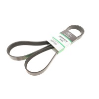 Ремінь генератора MB Atego 2/Axor 2 (OM926/OM924/OM902) 04- (8PK1920)