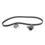 Комплект ГРМ Renault Laguna 2.0i 16V 95-01 (23x142z)