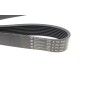 Ремінь генератора BMW 3 (F30)/5 (F10) 11-16 (N55B30A) (8PK942)