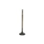 Клапан (впуск) Renault Megane IV/Clio IV/Logan II/Sandero 0.9-1.2 TCe 12- (27x5,5x101)