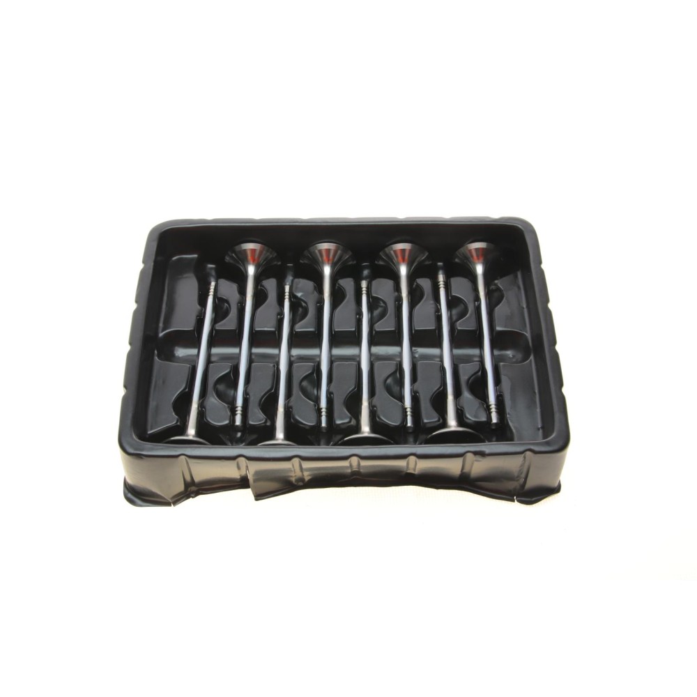 Клапан (впуск/випуск) Audi A4/A6/Skoda Octavia/Superb/VW Golf/Passat 1.8-3.0 -10 (к-кт)