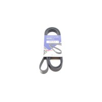 Ремінь генератора Renault Megane I/Ford Transit 2.0 94-00 (6PK1650)