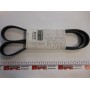 Ремінь генератора VW LT 2.5TDI 96-01/Peugeot Expert 1.9D/2.0HDI 98- (6PK1750)