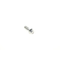 Болт Banjo (банжо) M10x1mm (11x37)