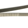 Ремінь генератора MB Vito (W638) 2.2CDI (OM611) (6PK2160)