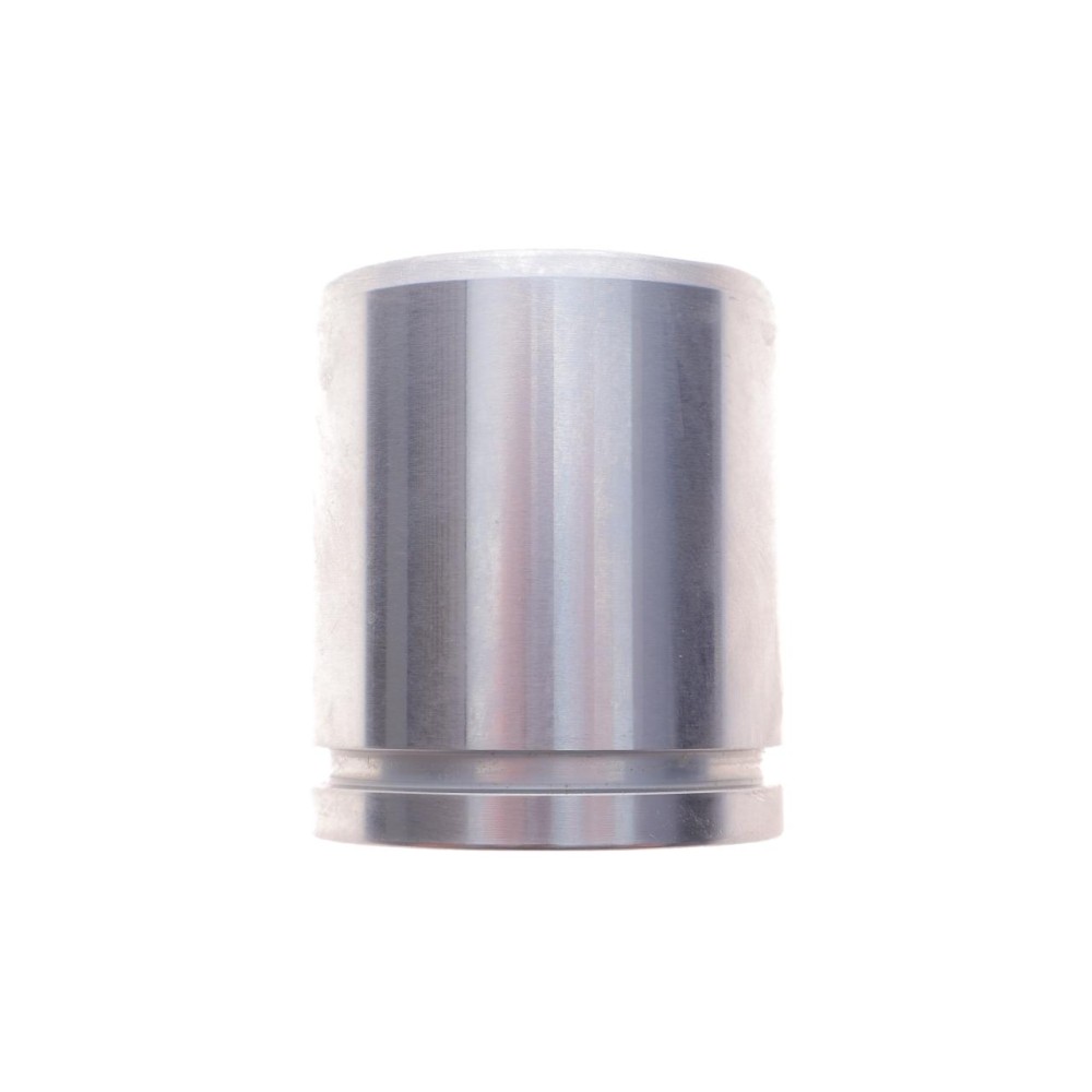 Поршень супорта (переднього) VW Caddy -92 (48xm55,2mm) (ATE/Bendix)