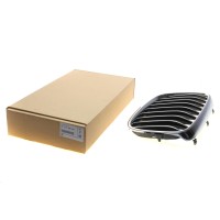 Решітка радіатора BMW 7 (G11/G12) 15- (R)