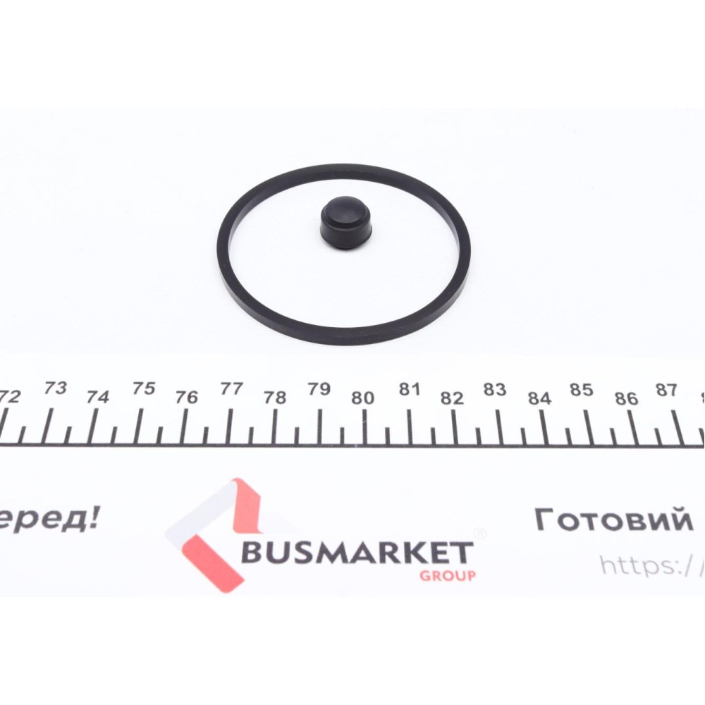 Ремкомплект супорта (переднього) BMW X4 (F36) 14- (d=57mm) (Bosch)