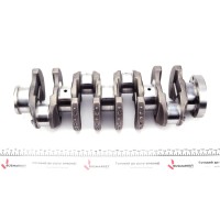 Колінчастий вал Ford Transit/Citroen Jumper 2.2HDi/TDCi 04-