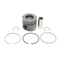 Поршень BMW 5 (E60) 05-10/X5 (E70) 3.0d (M57) 06-10 (84.00mm/STD)