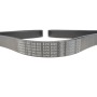 Ремінь генератора MB Atego 4.2/4.8 98- (8PK2020)