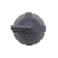 Кришка бачка розширювального Fiat Ducato 94-02/ Iveco Daily -98 (1 bar)