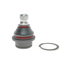 Опора кульова (передня/знизу) Nissan Navara/Pathfinder 04-14
