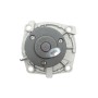 Помпа води Jeep Cherokee 2.5/2.5-3.1 TD 90-01/Ford Scorpio 2.5 TD 94-98 (R/B) (7 лоп) (без кришки)