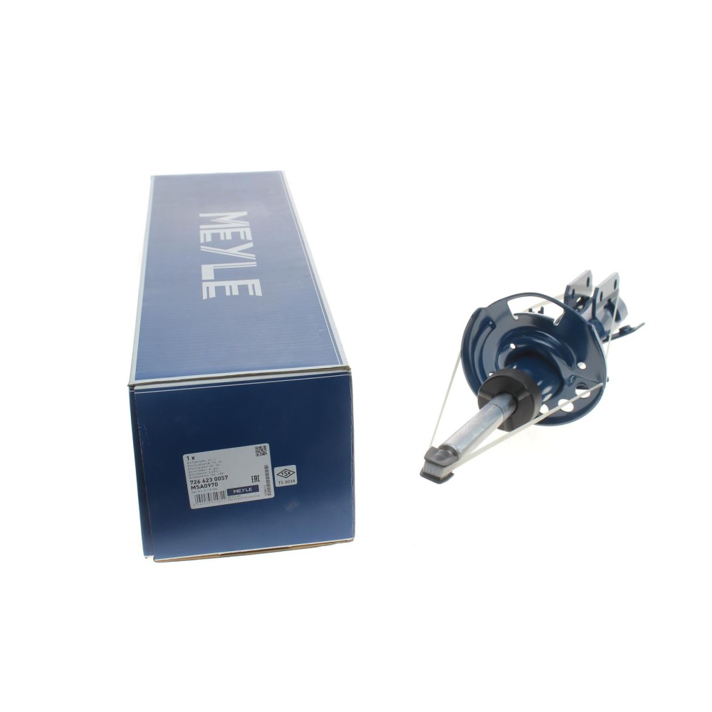 Амортизатор (передній) Ford Fiesta 17- (L)