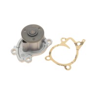 Помпа води Renault Clio/Scenic/Megane/Kangoo/Nissan Qashqai/Juke 0.9-1.2-1.4TCe/1.6 09-