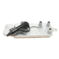 Радіатор масляний BMW 5 (F10, F18) 3.0i 10-/7 (F01, F02, F03, F04) 3.0/4.4i 08- N55/N63/N74
