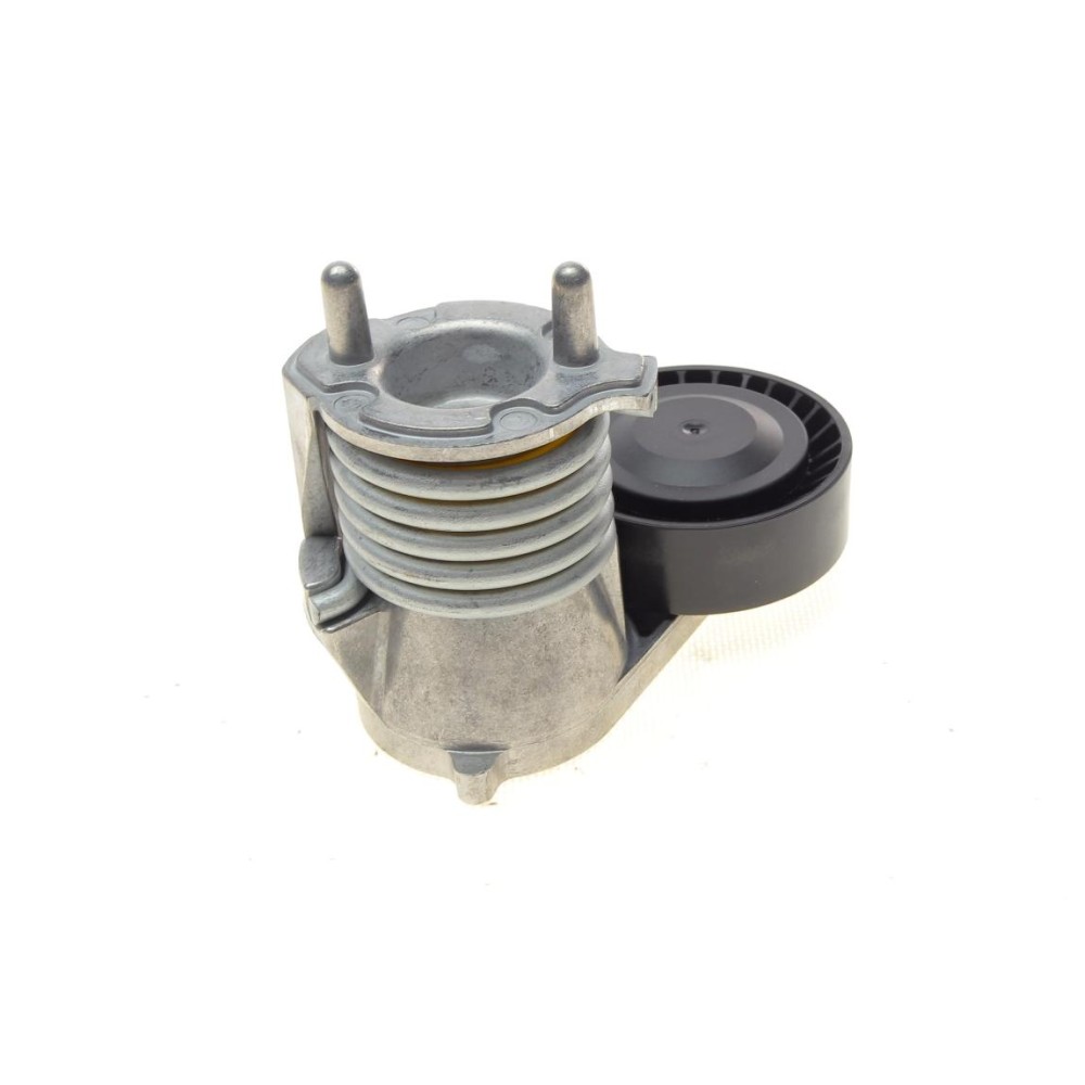 Натяжник ременя генератора Volvo C30/V40/S40/V50 07-