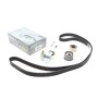 Комплект ГРМ Audi A4/A6/A8 3.0 00-06 (30x281z)
