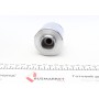 Ремкомплект супорта (заднього) Iveco Daily 06-14 (d=60mm) (+поршень) (Brembo)