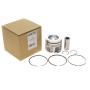 Поршень Citroen C3/C4/Berlingo/Peugeot 308/508/Partner 1.6 BlueHDi 14- (75.00mm/STD)