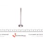 Клапан (впуск/випуск) BMW 3(E46)/5(E60)/6(E63) 2.0D 16V/2.5D 24V 99-10 (26x6x99.9) (азотування)