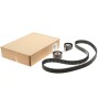 Комплект ГРМ Citroen Berlingo/Jumpy/Peugeot Partner 1.6HDI/Fiat Scudo 2.0D 08- (141z)