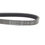 Ремінь генератора Honda Accord V/VI 1.8/2.0/2.2 93-01