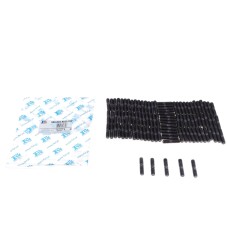 Шпилька колектора випускного Citroen/Dacia/Nissan/Renault (M8x1.25x16/M8x1.25x20) (к-кт 100шт)