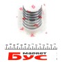 Вкладиші шатунні Renault Master/Trafic 2.2/2.5dCi 01- (+0.5) = 6138595000