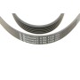 Ремінь генератора Peugeot 206/406/806/Expert/Fiat Scudo/Citroen C5/C8/Jumpy 1.9D/2.0HDI 95-