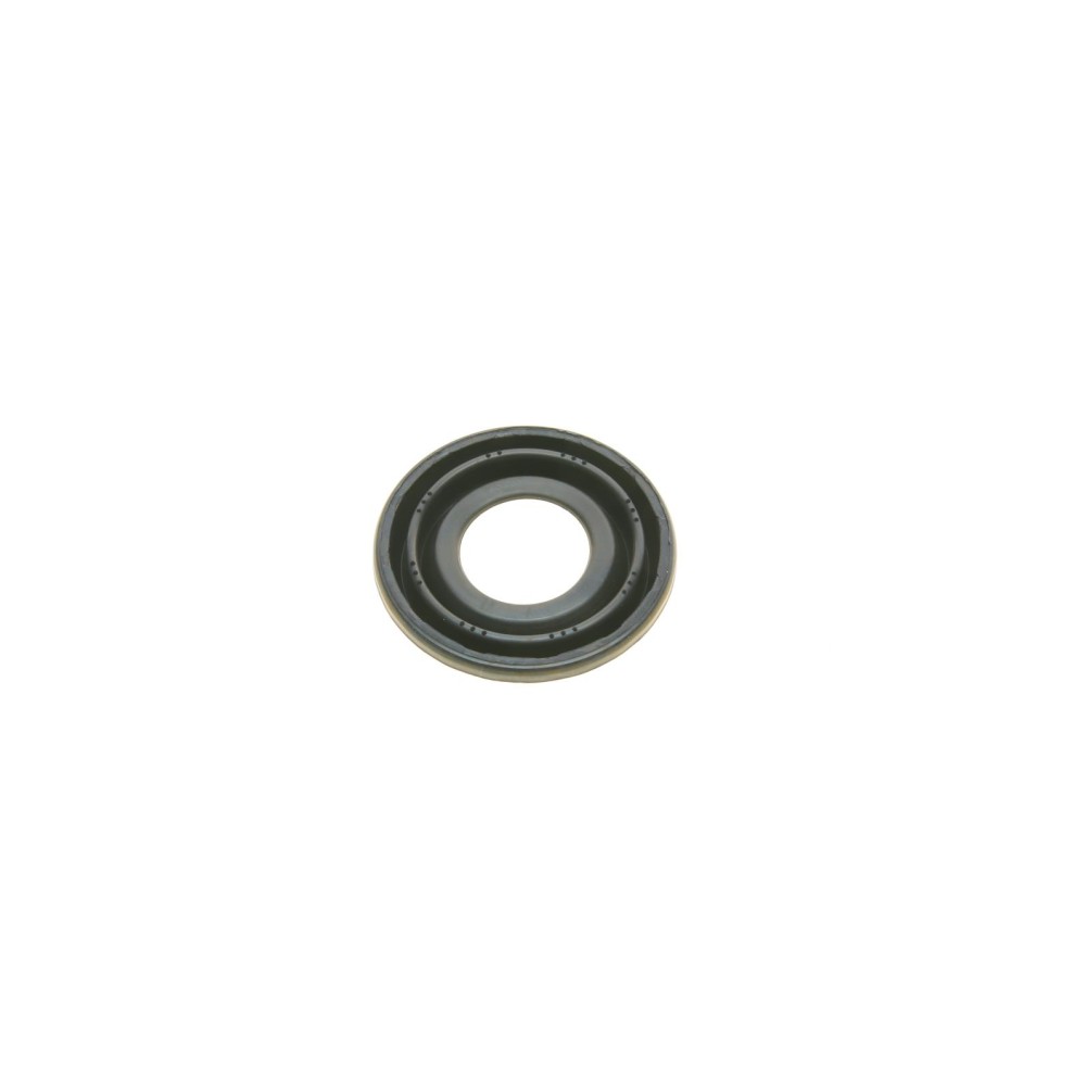 Ремкомплект супорта (заднього) Fiat Stilo 01-10 (d=38mm) (+поршень) (Bosch)