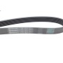 Ремінь генератора Renault Kangoo/Megane III/Scenic III 1.2TCe 12- 