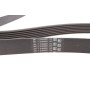 Ремінь генератора BMW X5 (E70) 4.8i 07-08/Renault Master/Opel Movano 2.3 dCi/CDTI 10- (7PK1666)